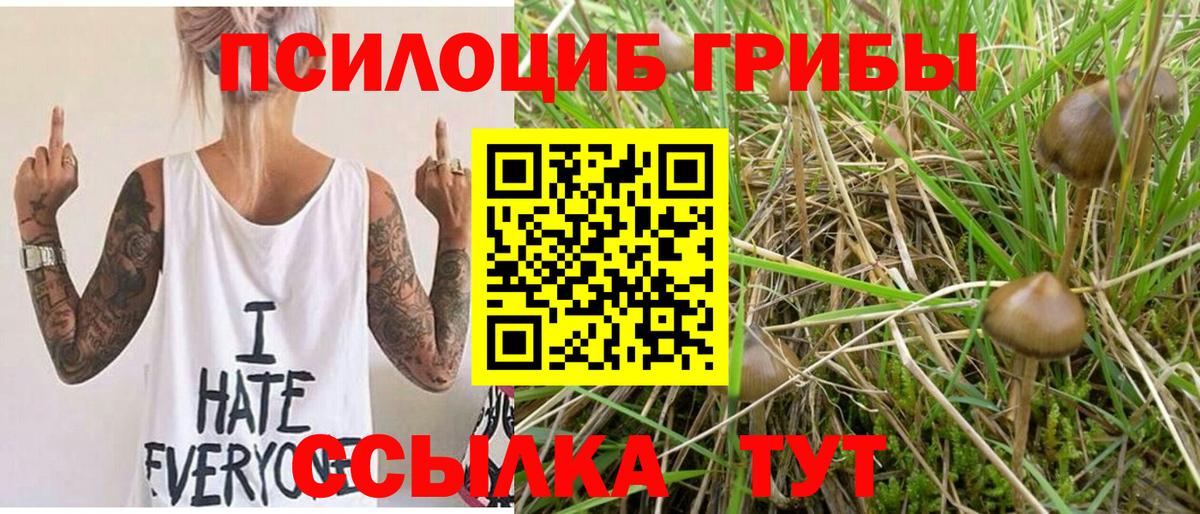 Галлюциногенные грибы GOLDEN TEACHER Усолье-Сибирское