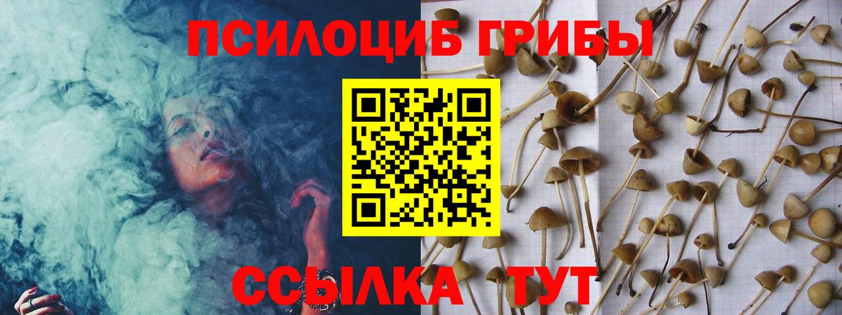Галлюциногенные грибы Psilocybe  Вход с VPN  Усолье-Сибирское 
